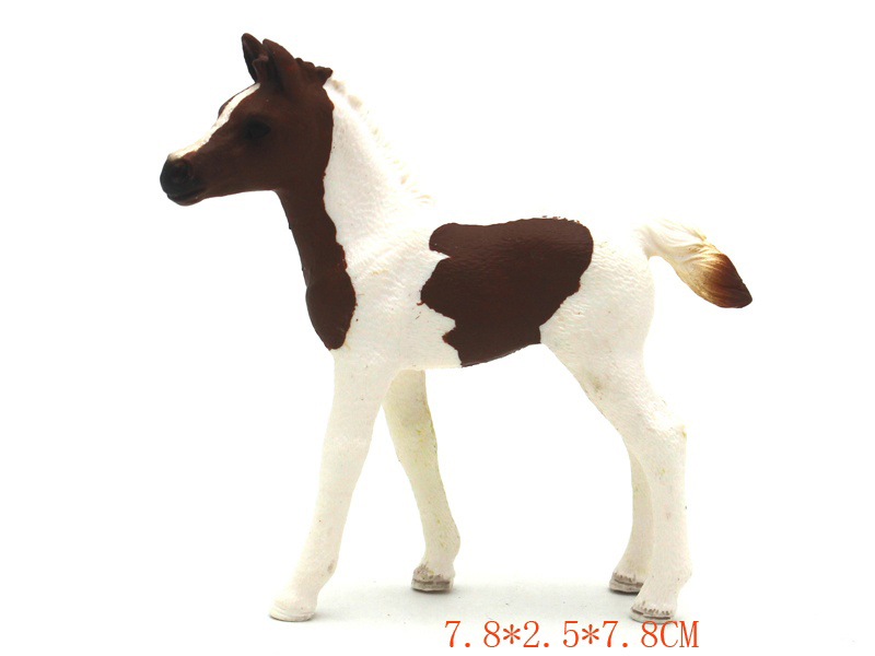 Pony Model