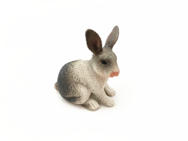 Grey Rabbit