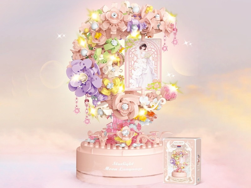 Starlight Moon Language Building Blocks 764pcs