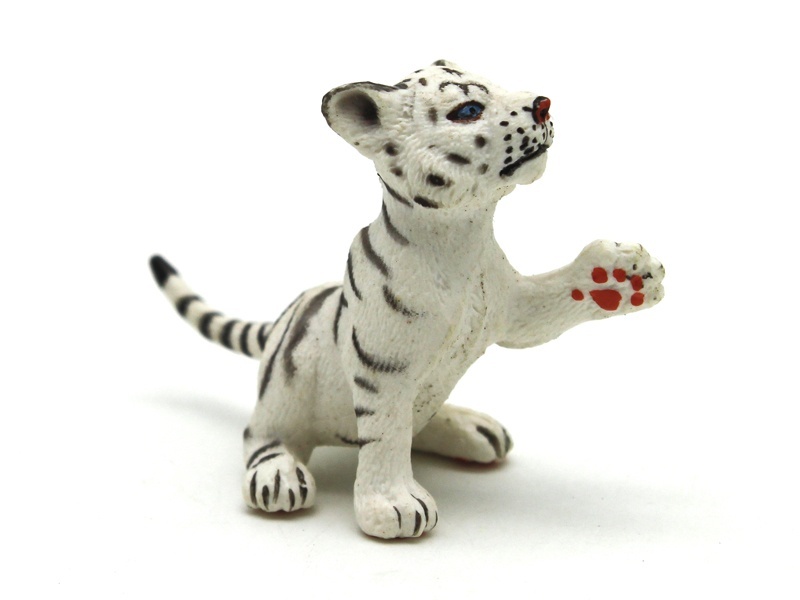 Play With The Little White Tiger