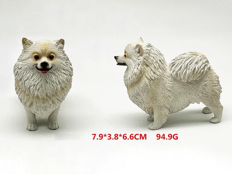 Pomeranian Model