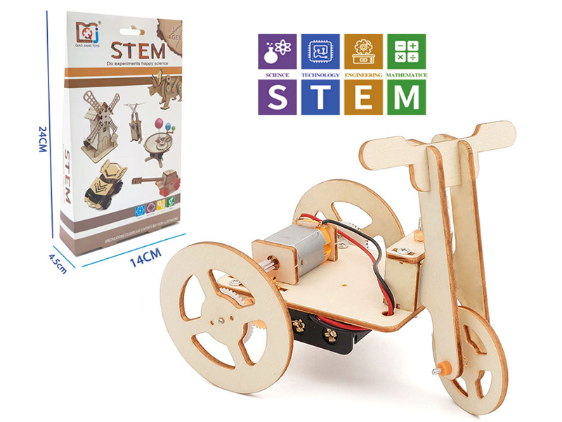 DIY Wooden Electric Tricycle