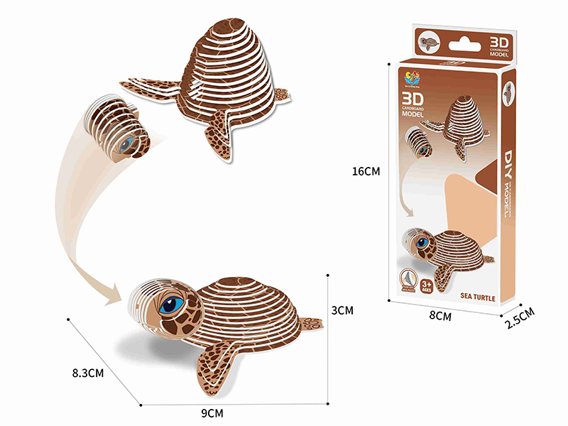 3D Cardboard Model Puzzle - Turtle