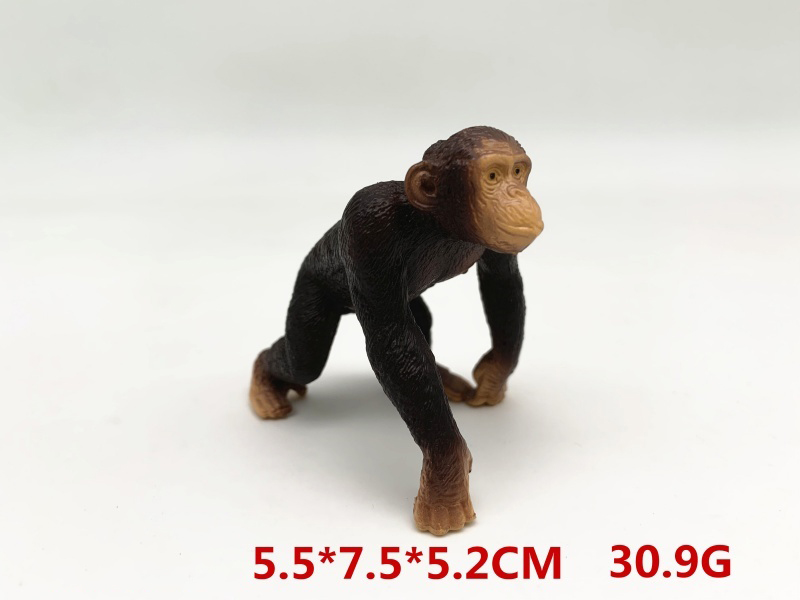 New Crawling Orangutan