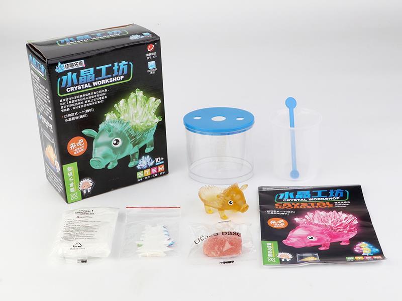 Crystal Workshop Experimental Toys