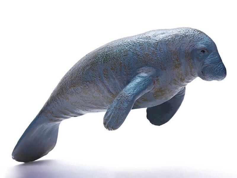 Vinyl Sea Animal Model - Manatee