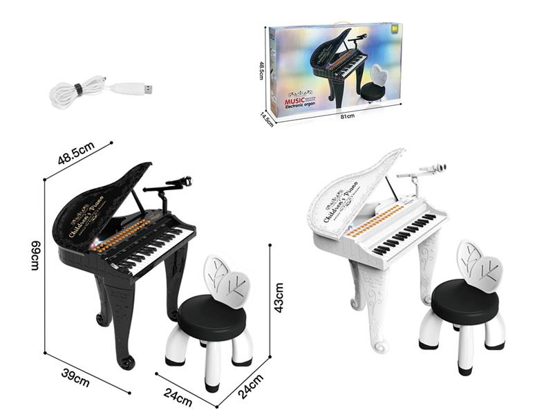 Multifunctional Electronic Organ
