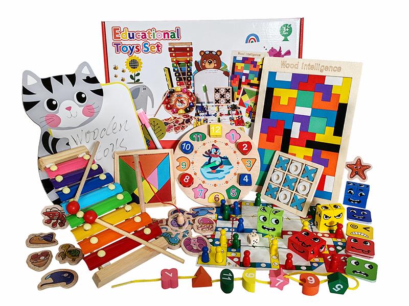 Wooden Educational Toys Set 9pcs