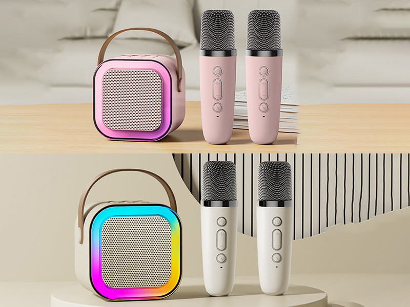 Wireless Bluetooth Portable Speaker(Double Microphone) High Configuration