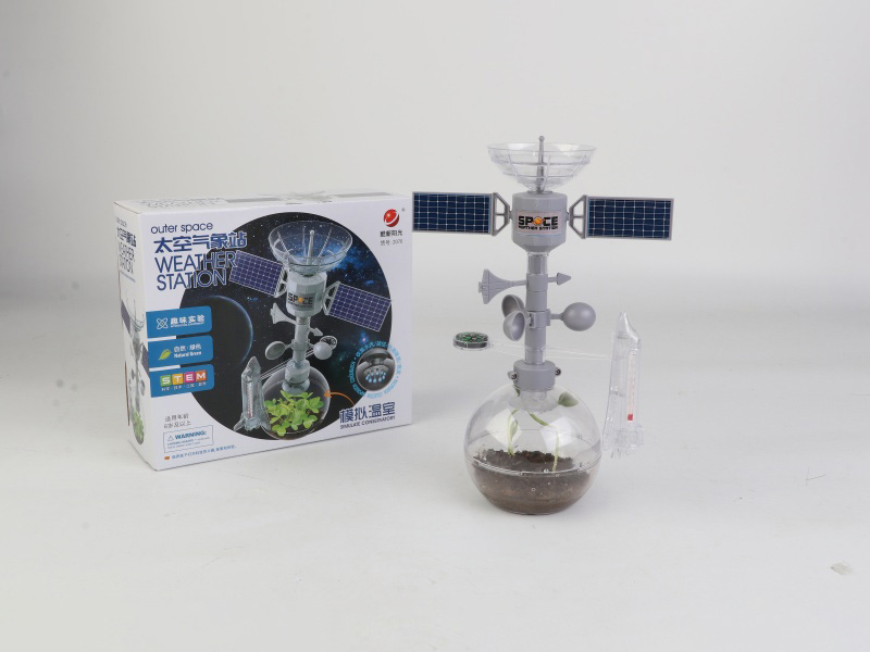 Space Weather Station