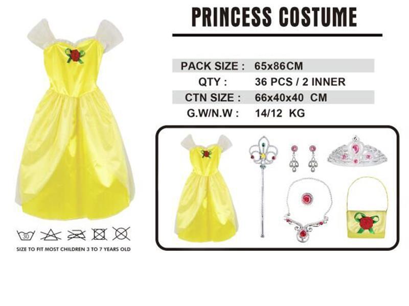 Princess Costume