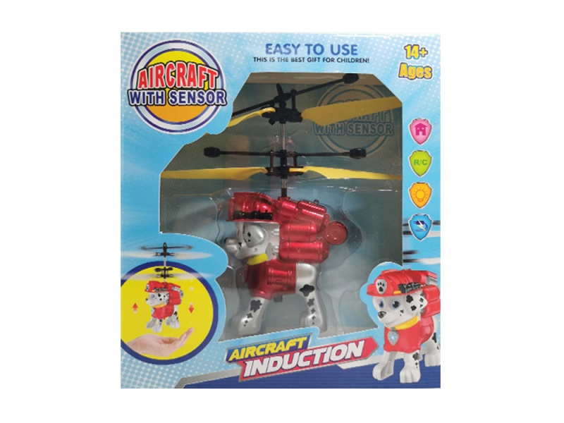 Want Want Team Sensing Aircraft