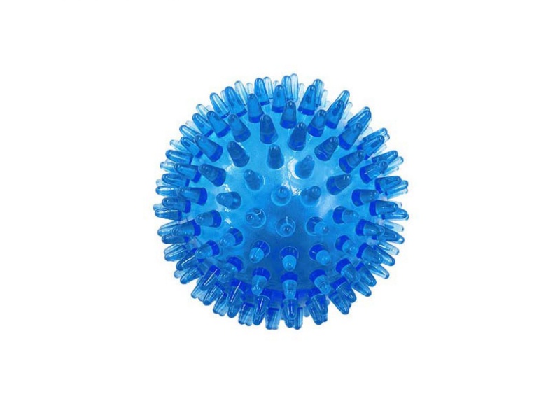 Transparent 9.5 Spiny Ball Pet Toy
