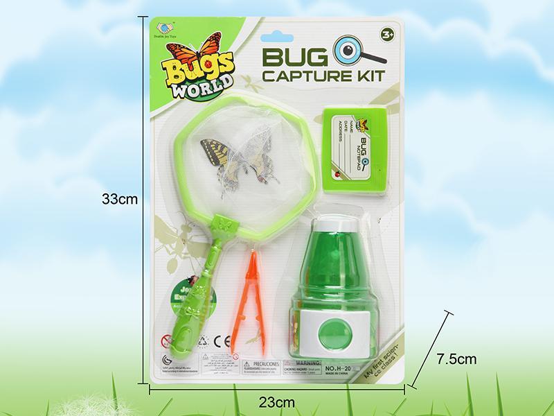 Insect Toy