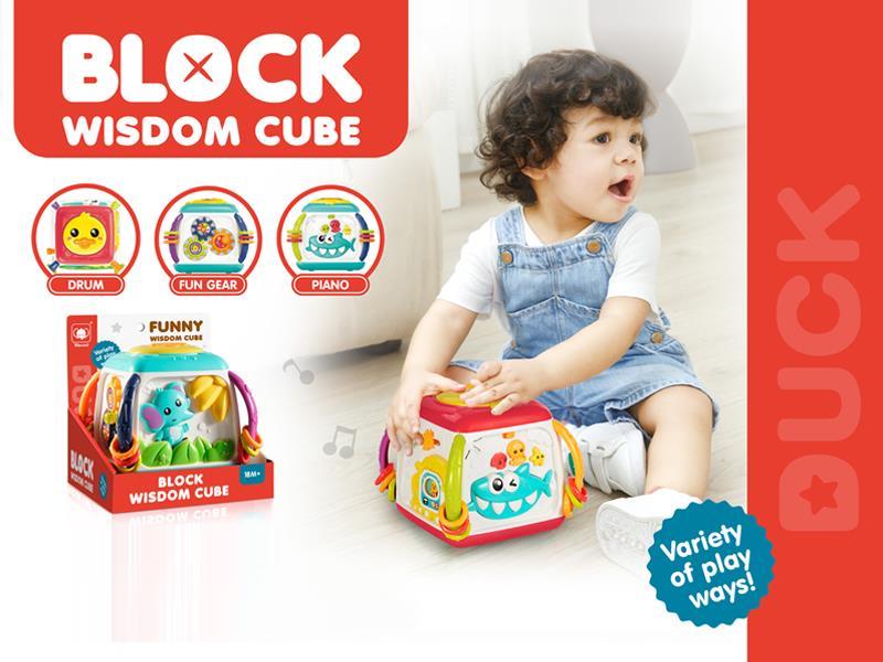 Fun Intelligence Cube