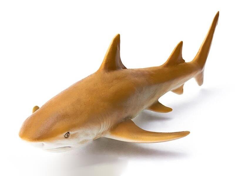 Vinyl Sea Animal Model - Lemon Shark