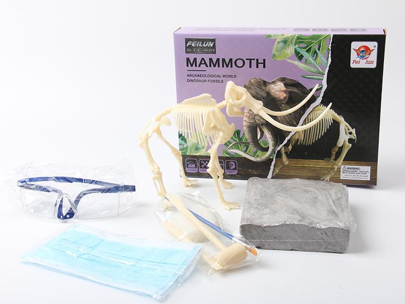Dinosaur Fossil Collection - Archaeological Excavation Mammoth