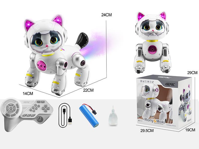 Remote Control Programming Cartoon Cat