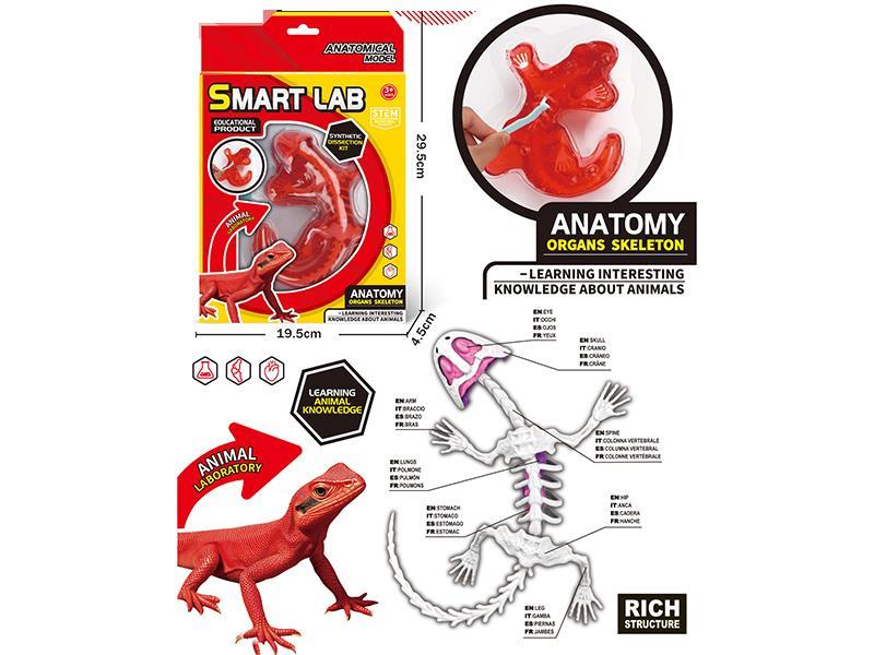 Displaning Lab Set + Lizard