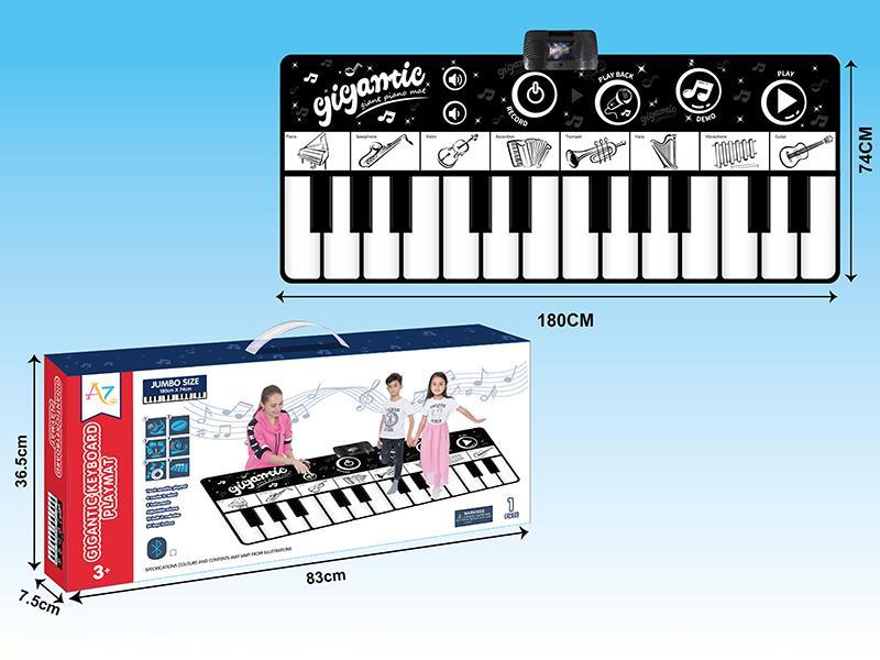 24 Key Black And White Piano Play Mat