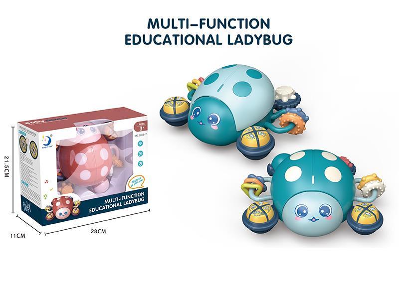 Multifunctional Educational Ladbug