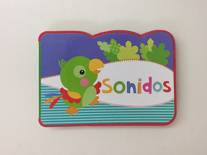 Castellano EVA Early Education Book