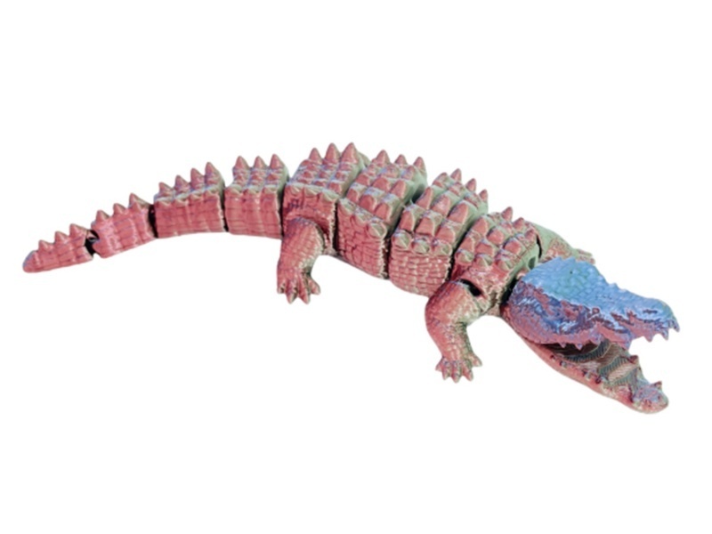 American Crocodile 20.7Cm