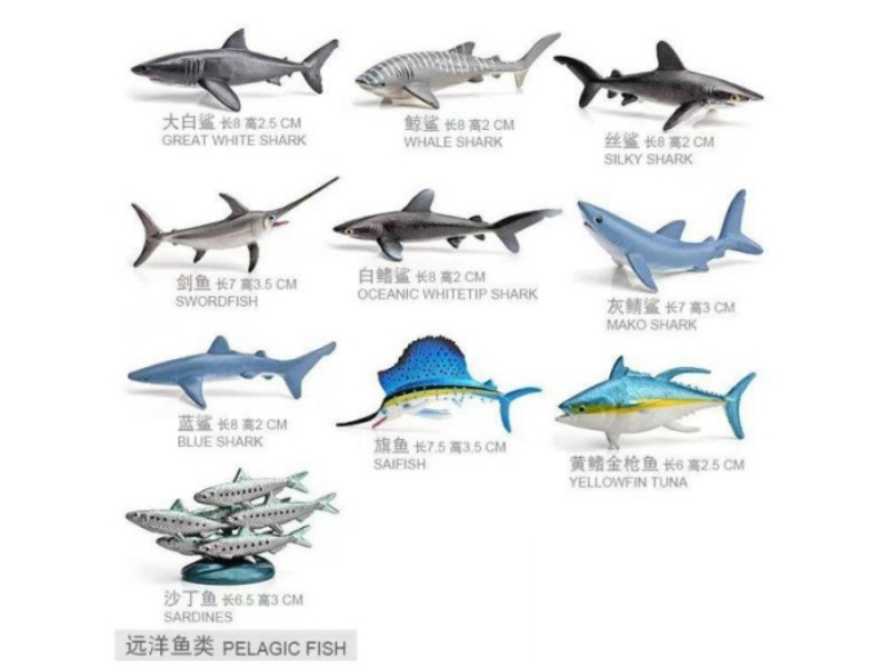 Ten Types Of Oceanic Fish