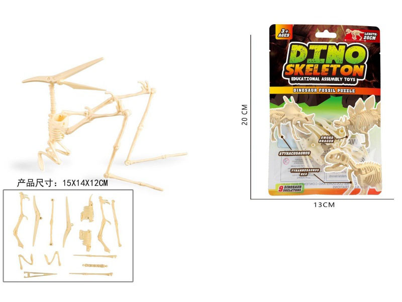 Assemble The Pterosaur Skeleton