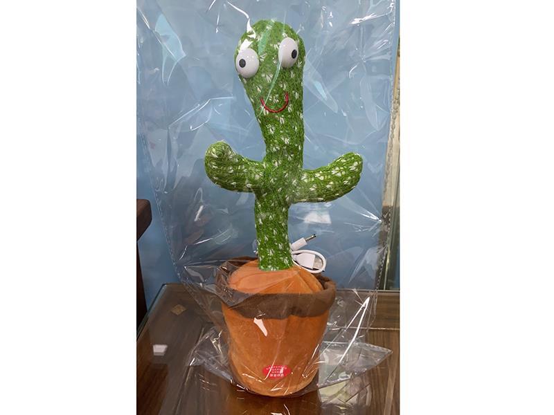 Dancing Cactus