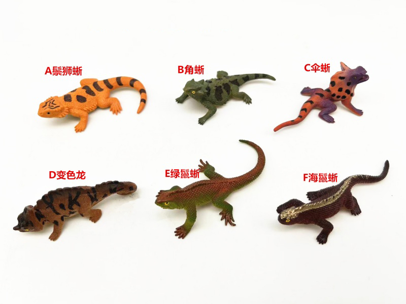 Six Cold-Blooded Crawling Lizards: A Bearded Dragon, B Horned Lizard, C Umbrella Lizard, D Chameleon, E Green Iguana, F Marine Iguana