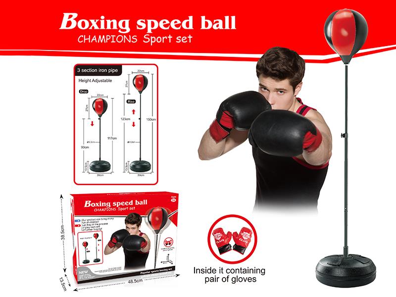 Boxing Speed Ball + Gloves