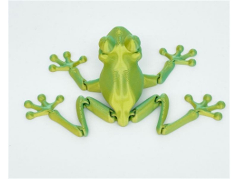 The Frog Is 12Cm Close To The Glass Eye