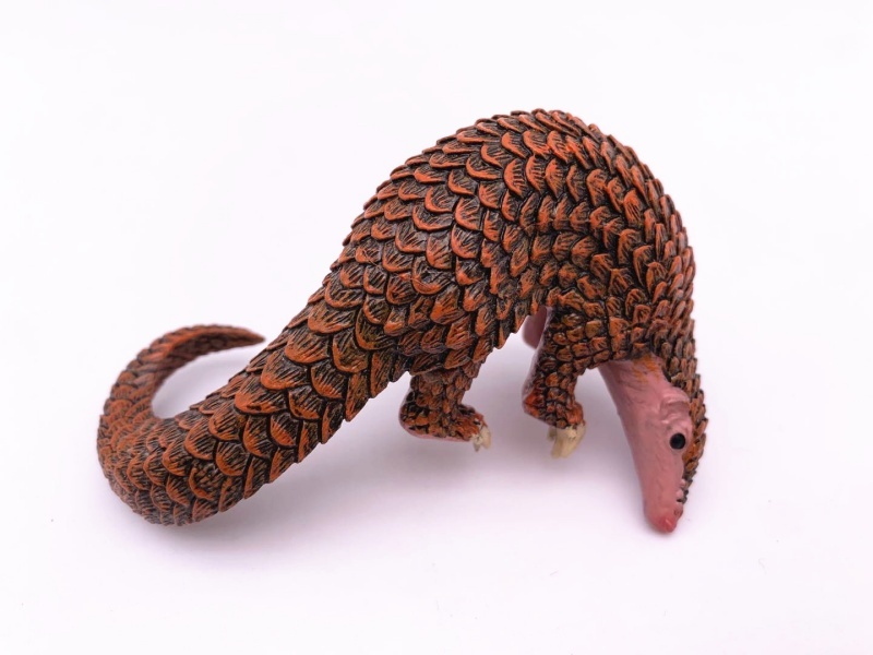 Pangolin Brown