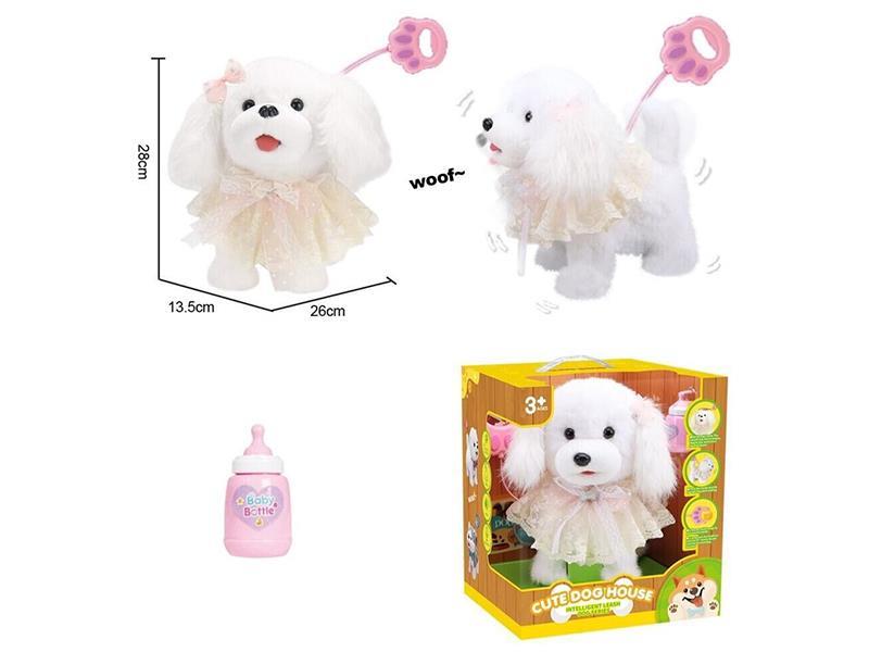 Intelligent Leash Dog