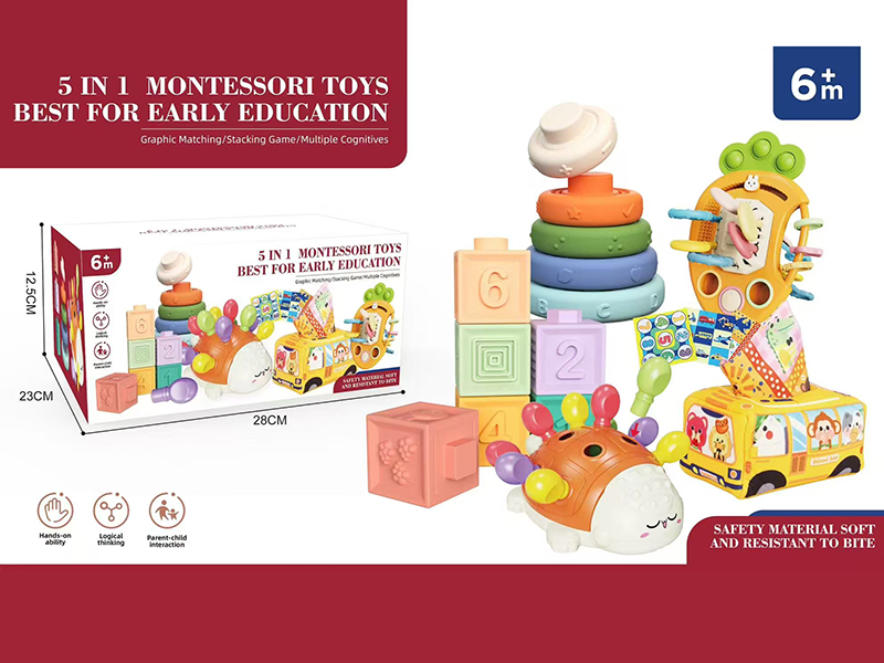 5 In 1 Montessori Toys