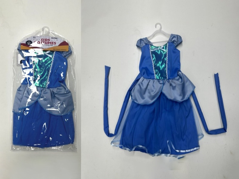 Princess Cindy Dress