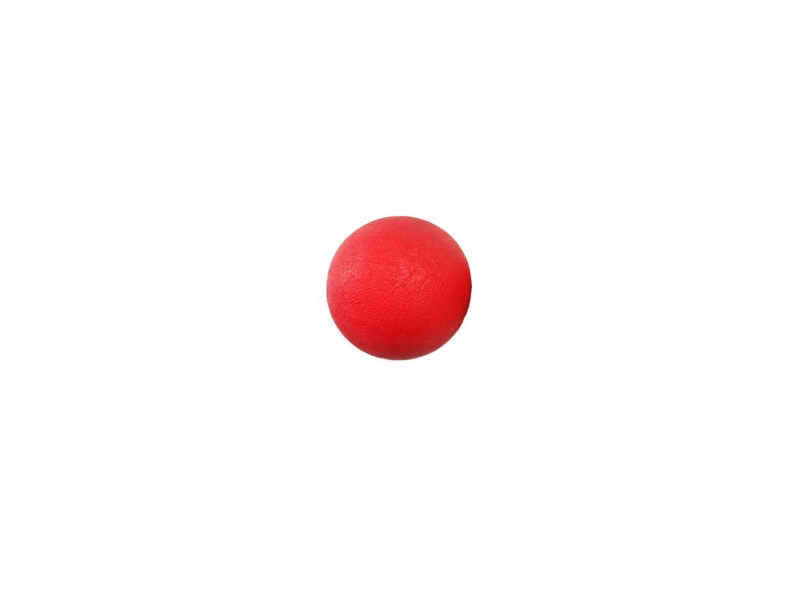 Solid Ball Pet Toys
