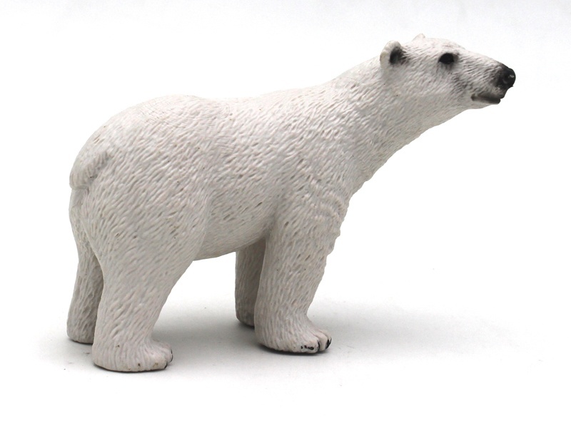Polar Bear