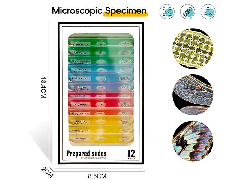 Microscope Specimen