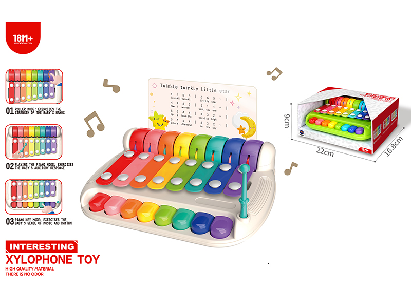 Xylophone Toy