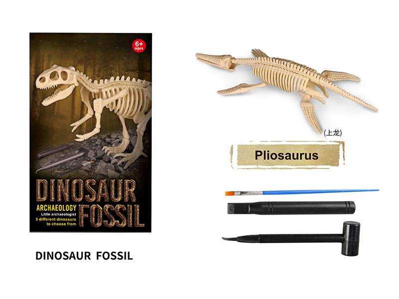 Archaeological Dinosaur Fossil Series - Pliosaurus