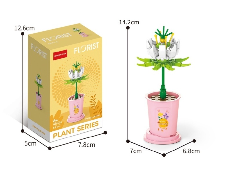 White Dew Night-Blooming Cereus 59 Pcs