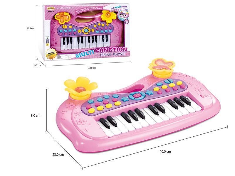 Electronic Organ
