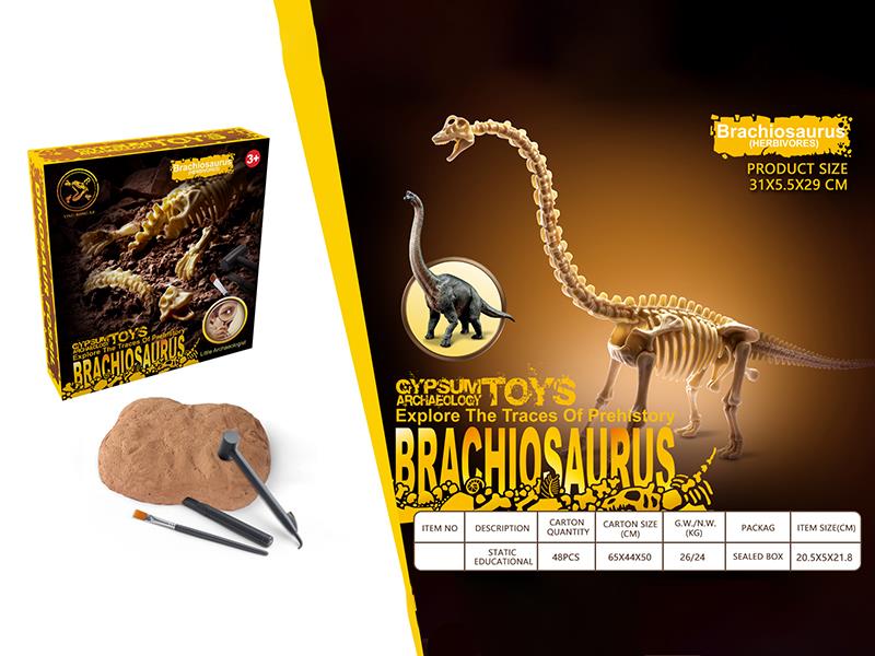 Dinosaur Fossil Archaeological Toy