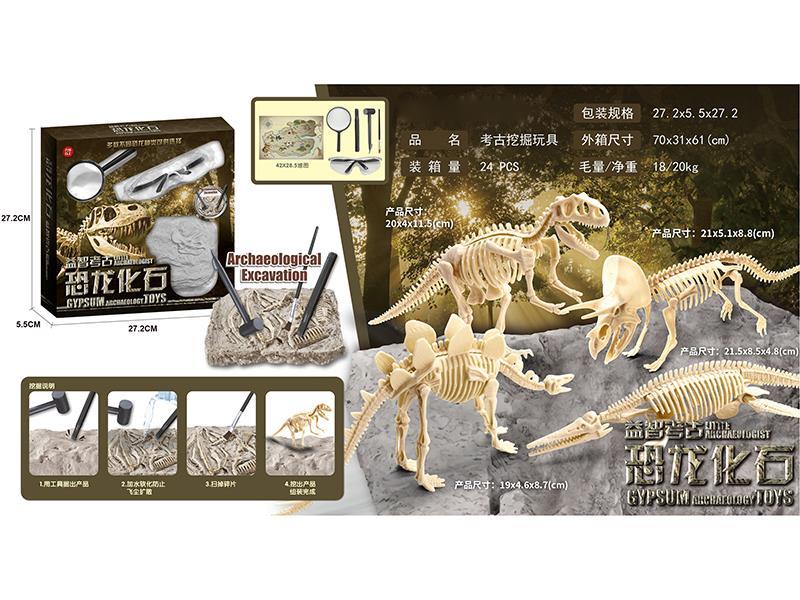 Archaeological Dinosaur Fossil