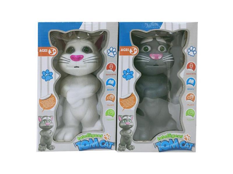 Intelligent Tom Cat