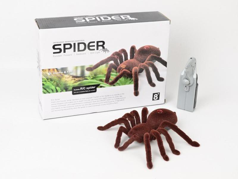 2ch r/c infrared  spider（english color box）