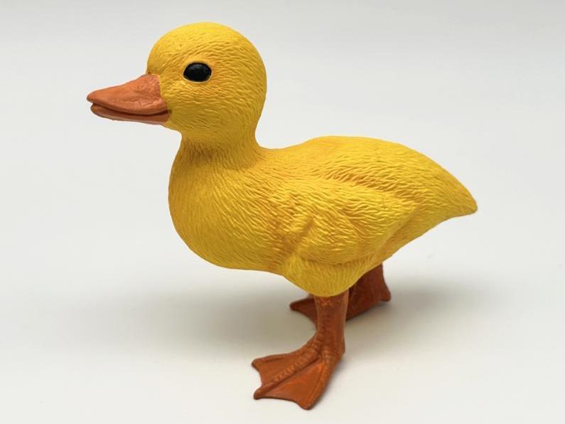 Big Yellow Duck