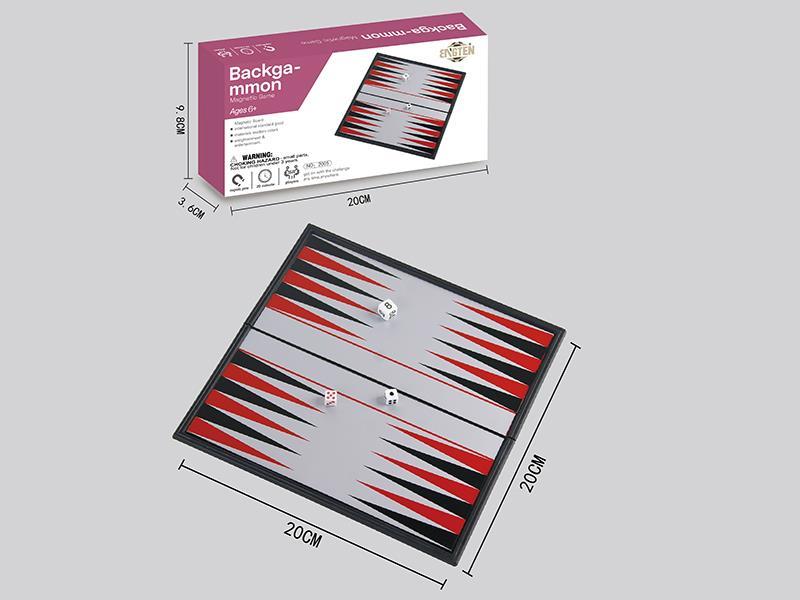 Magnetic Backgammon